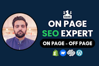 help optimize on page SEO for shopify, wix, webflow, squarespace