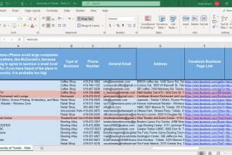 do market research and paste contact number address email on excel googlesheet