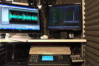 produce a professional radio commercial for you