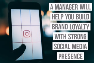 manage and grow your instagram and build an audience