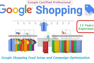 setup and manage google shopping ads for ecommerce websites