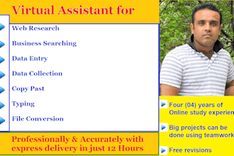 be your virtual assistant for web search and data entry
