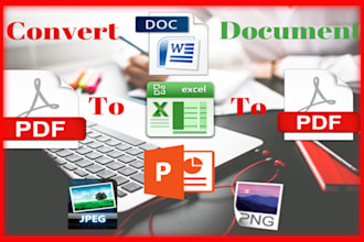 pdf to excel, typing, converting scanned pdf to word