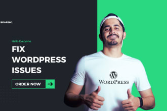 wordpress issues, errors, bugs, CSS, and provide expert wp help