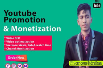do best youtube promotion and seo for improve video rank