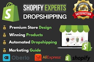 design shopify dropshipping store with winning products