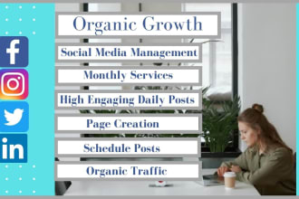 be your social media marketing manager for fb, ig, linkedin, twitter, youtube