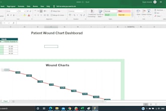create advance excel spreadsheet with advance macros and vba
