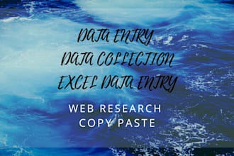 do data entry data collection excel data entry