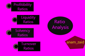 do financial accounting and ratio analysis