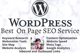 provide best on page seo service for your wordpress website