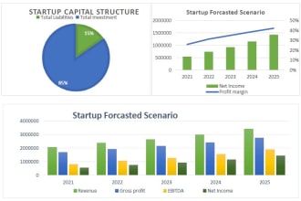 prepare financial forecast, plan, model and analysis