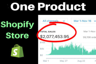 create a six figure one product shopify store