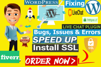 set up and install SSL certificates, and fix wordpress errors and bugs