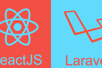 develop laravel react js website or web application