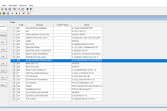 create your powerbuilder business application instantly