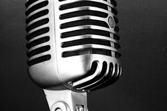 deliver your professional voiceover SUPERFAST