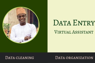 do web research, copy paste, and data entry perfectly