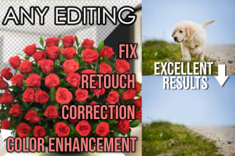do any editing or arrangement in photoshop in two hours