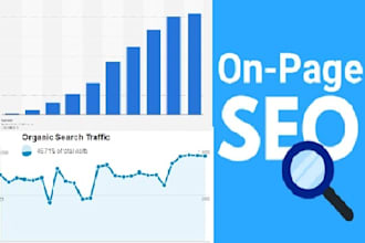 do website on page SEO optimization