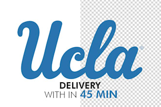 professionally remove the background of image or logo with transparent or white
