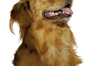draw cartoon portrait of your pet in 24 hours