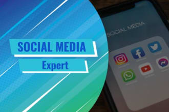 set up facebook, instagram, and tiktok shop and catalog