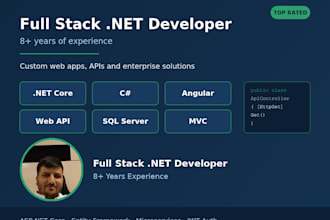 develop professional asp net, dot net core web application