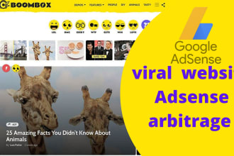 create a complete viral adsense arbitrage website