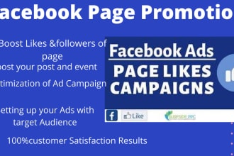 run a facebook ad campaign to grow page likes