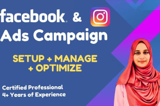 set up and manage facebook and instagram ads campaign