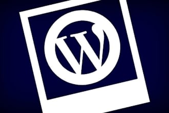 develop and design an attractive website or blog on wordpress for you