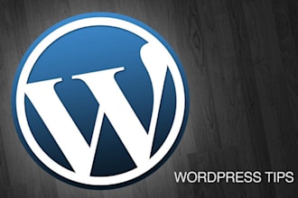 create website for you on wordpress and also create custom theme