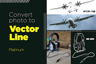 professional vector tracing and illustration services