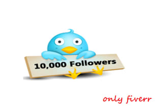 give you Permanent 500 target Twitter Followers Without Password These Followers Will Stay Forever and Ever