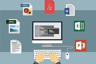 professional data entry services with unmatched accuracy