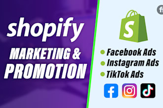 promote your shopify store and ecommerce marketing to increase sales