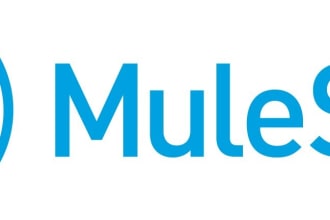 do API integration using mulesoft and anypoint studio