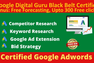 manage and optimize google ads, bing ads, and PPC campaigns for max ROI
