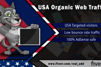 send adsense safe USA organic traffic, keyword targeted