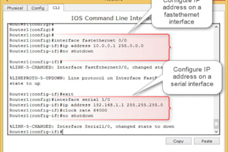 assist configure, troubleshoot, and automate with cisco dnac