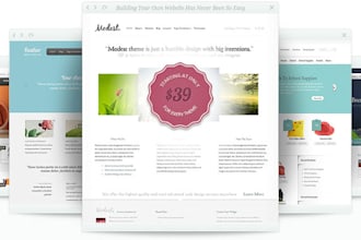 design a very attractive, fully responsive Wordpress website for your business