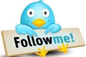 add more than 500 followers to your Twitter account