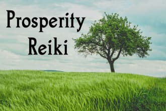 provide a prosperity reiki session including cdr