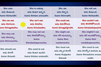 do english to telugu translation, subtitling, transcription