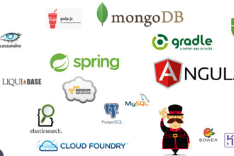 build web application with react is, next js, angular, node js