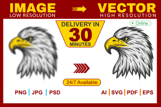 vectorize your logo, recreate, redraw and convert image to vector format