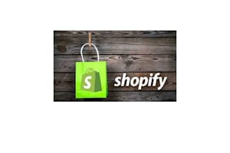 provide assistance in managing your shopify store