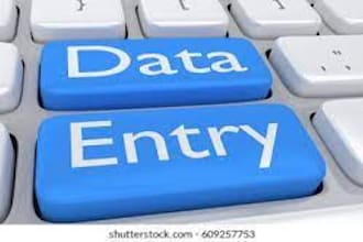 do high quality data entry and admin work for you