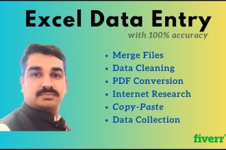 do fast excel data entry, copy paste, and other typing services